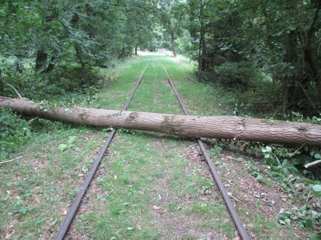 ZWNEGI14